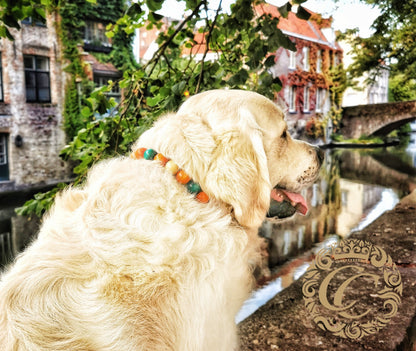 Dog collar Orange Mint Maxi | handmade dog collar | collarcrafts | dogcollar | halsband | dogcollar | collar | hondenhalsband | hondenband | Kattenhalsband | bead dog collars | cat mood collar | beaded dog collar | beaded dog collars | wooden bead dog collars | alu max com dog collars | beaded collars for dogs | rainbow dog collars | collarcrafts