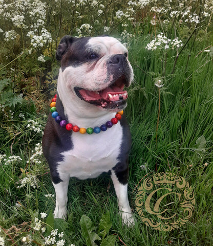 dog collar collarcrafts honden halsband | dogcollar | collar | hondenband | Kattenhalsband | dogcollar | collar | hondenhalsband | hondenband | Kattenhalsband | bead dog collars | cat mood collar | beaded dog collar | beaded dog collars | wooden bead dog collars | alu max com dog collars | beaded collars for dogs | rainbow dog collars | collarcrafts