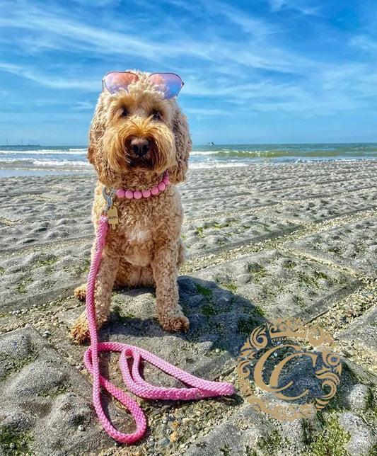 Handmade dog collar Baby Pink Maxi | Dog Collars | Custom made Collars | CollarCrafts | dogcollar | collar | hondenband | Kattenhalsband | bead dog collars | glam dog collar | girly dog collar | martingale dog collars | luxury dog collars | alu max com dog collars | beaded collars for dogs | pink dog collars