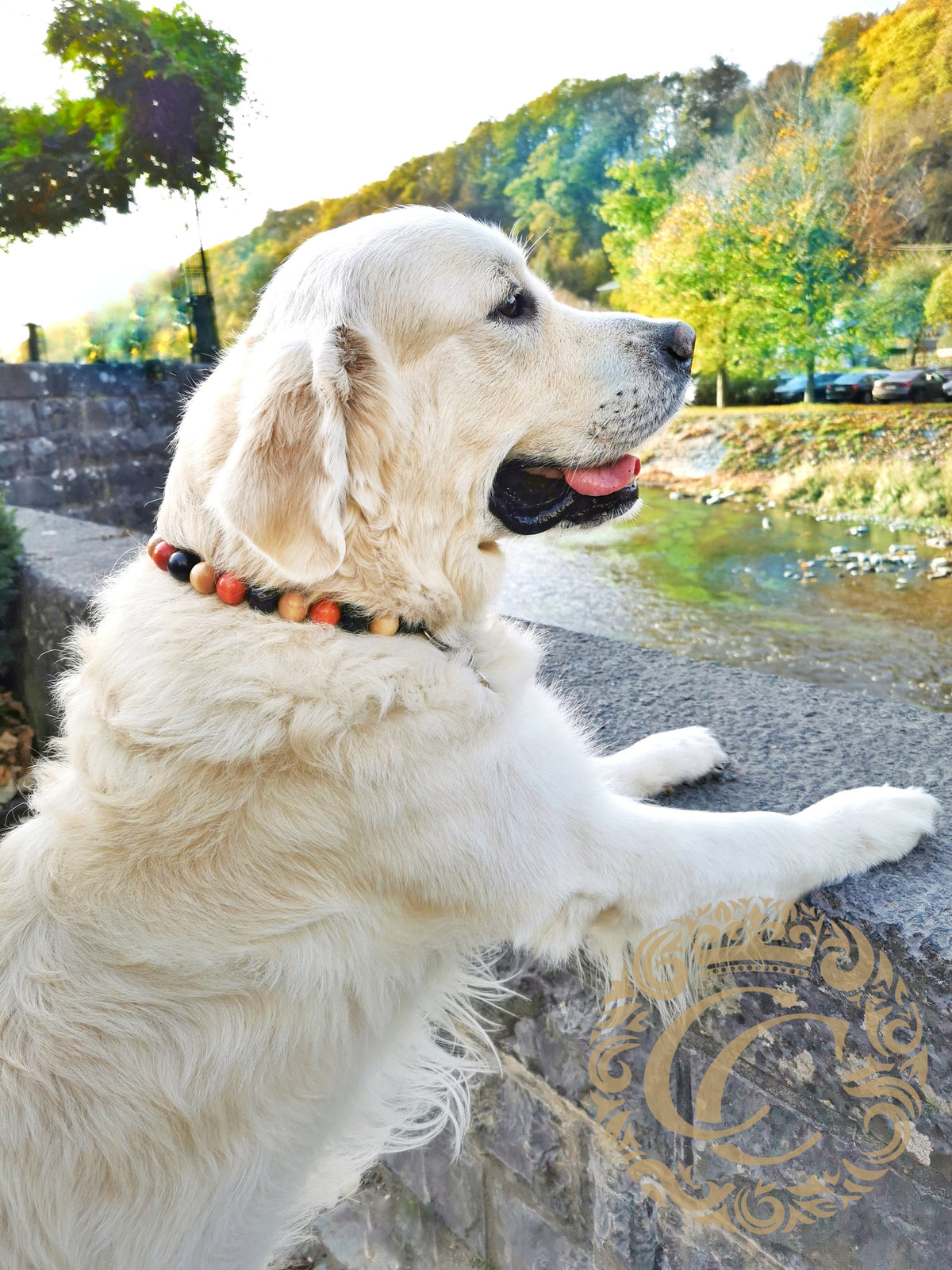 Dog collar Black Orange Beige Maxi | unique dog collar | collarcrafts | dog collar | halsband | dogcollar | collar | handmade dog collars | custom made dog collars and leashes | luxury dog collars | unbreakable dog necklace | martingale dog collar | buckle dog collars | wooden bead dog collars | alu max com dog collars | beaded collars for dogs | bead dog collars