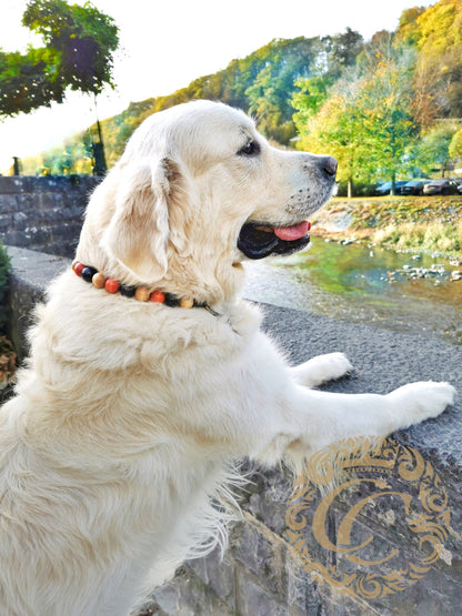 Dog collar Black Orange Beige Maxi | unique dog collar | collarcrafts | dog collar | halsband | dogcollar | collar | handmade dog collars | custom made dog collars and leashes | luxury dog collars | unbreakable dog necklace | martingale dog collar | buckle dog collars | wooden bead dog collars | alu max com dog collars | beaded collars for dogs | bead dog collars