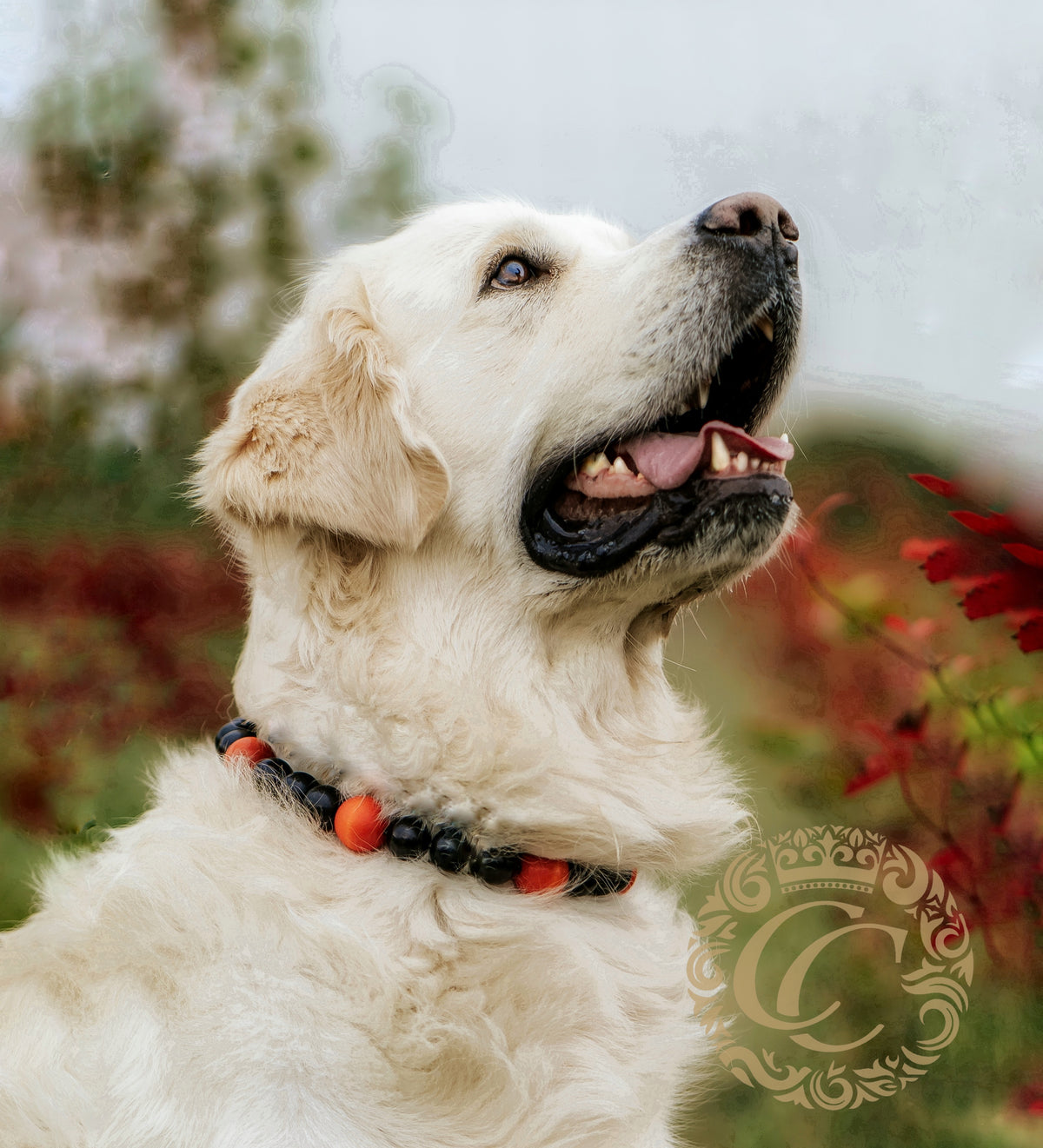 Handmade dog collar Orange Black Maxi | Dog Collars | Cat Collars | CollarCrafts | dogcollar | collar | hondenhalsband | hondenband | Kattenhalsband | bead dog collars | cat mood collar | beaded dog collar | beaded dog collars | wooden bead dog collars | alu max com dog collars | fall theme collars for dogs | helloween dog collars | collarcrafts