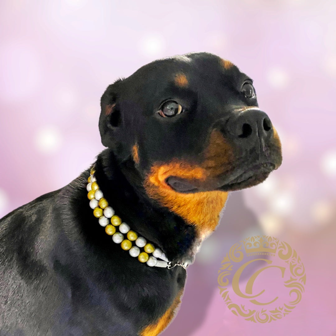 Dog collar Bokken's Chique | Luxury Dog Collars | Silver Gold dog Collars | CollarCrafts | dogcollar | collar | honden halsband | Buckle dog collar Christmas | bead dog collars | Holiday mood collar | Silver gold dog collar | beaded dog collars | wooden bead dog collars | alu max com dog collars | beaded collars for dogs | Christmas dog collars |  