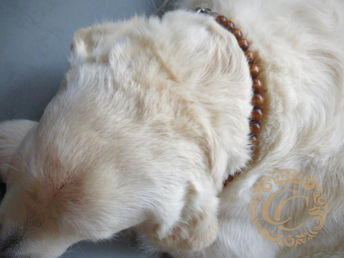 Dog collar Brownie Mini | dogcollar | collar | CollarCrafts | Luxury dog collars | Designer dog collars |  honden halsband | bead dog collars | brown beads collar | unbreakable dog necklace | martingale dog collars | wooden bead dog collars | alu max com dog collars | beaded collars for dogs | brown dog collars