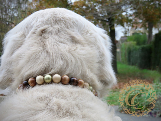 Dog collar Choco Gold Mini | dogcollar | collar | CollarCrafts | Luxury dog collars | Designer dog collars | honden halsband | bead dog collars | brown beads collar | unbreakable dog necklace | martingale dog collars | wooden bead dog collars | alu max com dog collars | beaded collars for dogs | brown gold dog collars