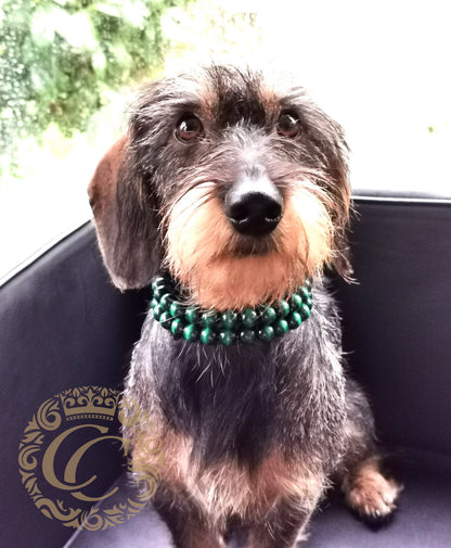 Dog collar Double Rich Purple