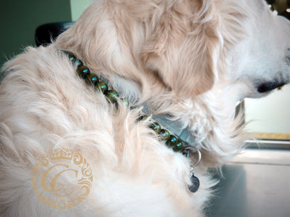 Dog collar Dark Green Mini