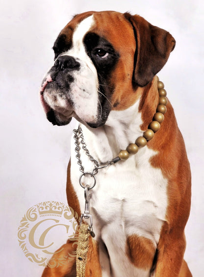Dog collar Gold Maxi | Dog Collars | Collars and leashes | CollarCrafts | dogcollar | collar | honden halsband | Luxury dog collars | bead dog collars | Chique dog collar | beaded dog collar | Martingale dog collars | wooden bead dog collars | alu max com dog collars | beaded collars for dogs | Gold beads dog collars