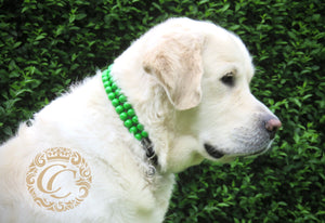 Dog collar Double Lucky Green