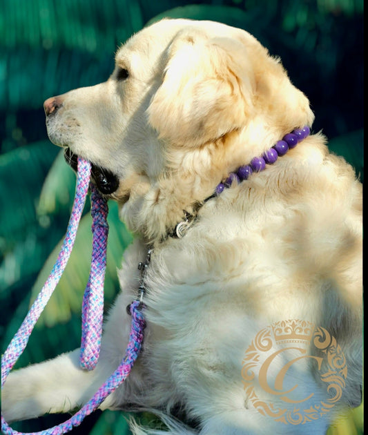 Dog leash Unicorn | Handmade Dog Leashes | Dog leash paracord | CollarCrafts | dogleash | leash | hondenhalsband | honden leiband | paracord dog lead | Dog leash washable | paracord leash | Pink purple dog leash | custom dog leash | Pink dog leash | dog collar leash set | collarcrafts