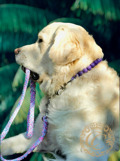 Dog collar Rich Purple Maxi | Dog Collars | Design Collars | CollarCrafts | dogcollar | collar | bead dog collars | handmade dog collar | luxury dog collars | wooden bead dog collars | alu max com dog collars | luxury collars for dogs | Dark purple dog collars