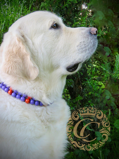 Dog collar Cute Witch | Halloween Dog Collars | Purple dog Collars | CollarCrafts | dogcollar | collar | honden halsband | Buckle dog collar Halloween | bead dog collars | Holiday mood collar | purple orange dog collar | beaded dog collars | wooden bead dog collars | alu max com dog collars | beaded collars for dogs | Halloween dog collars