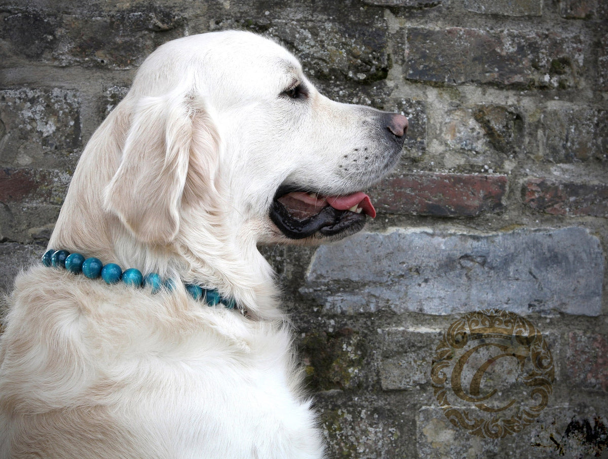 Dog collar Sea Wave | Dog Collars | Luxury Dog Collars | CollarCrafts | dog collar | collar | honden halsband set | halsband | bead dog collars | designer dog collar | buckle dog collar | martingale dog collars | wooden bead dog collars | alu max com dog collars | beaded collars for dogs | turquoise dog collars