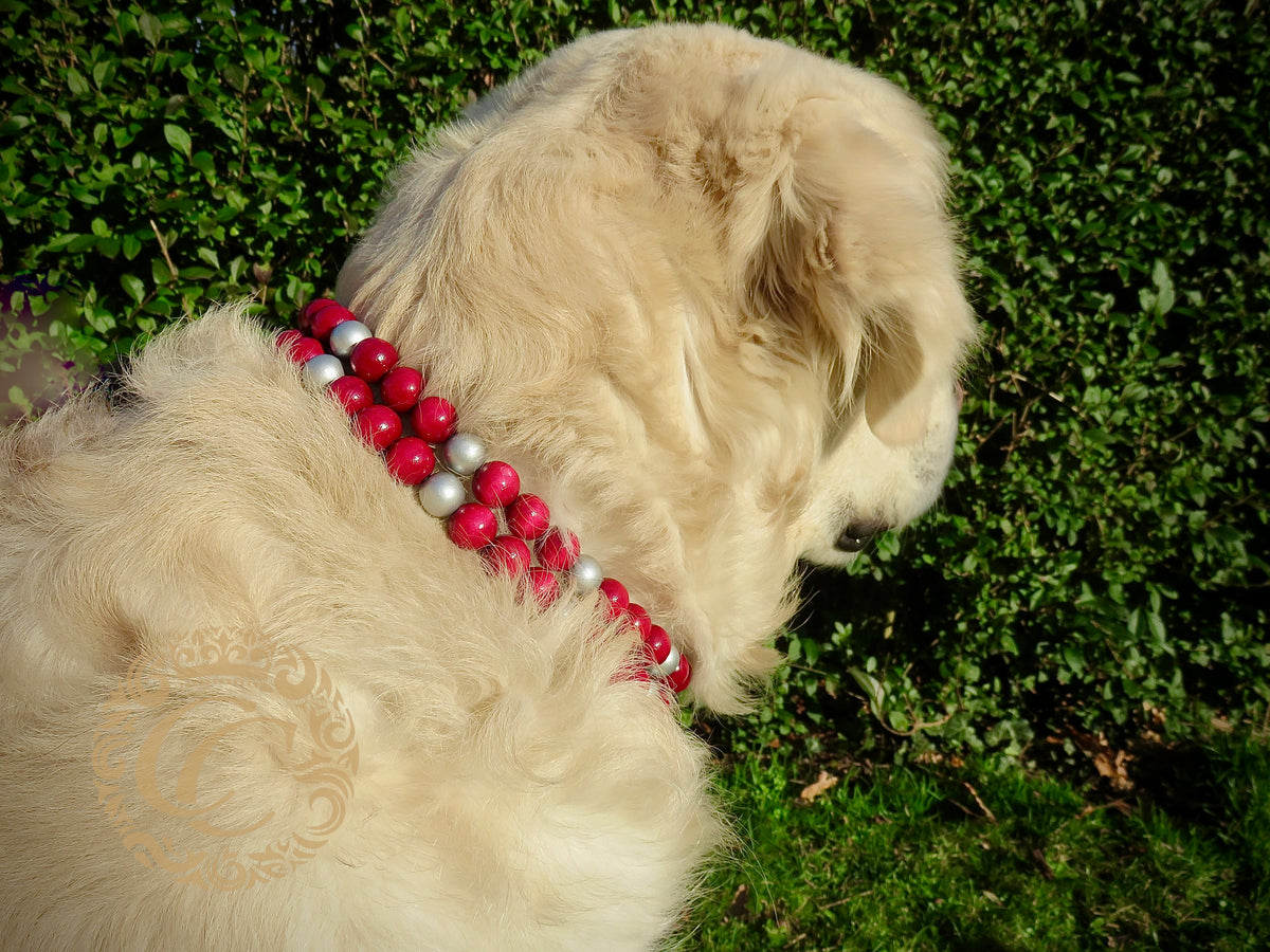 Dog collar Red Silver Maxi | Luxury Dog Collars | Silver Red dog Collars | CollarCrafts | dogcollar | collar | honden halsband | Buckle dog collar | bead dog collars | Wine red dog collar | Silver Red dog collar | beaded dog collars | Unbreakable dog necklace collars | alu max com dog collars | beaded collars for dogs | Valentine dog collars