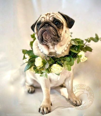 Dog collar Snow White Mini | handmade dog collars |  collarcrafts | halsbanden | dogcollar | collar | honden halsband | bead dog collars | white beads collar | luxury dog collar | beaded dog collars | wooden bead dog collars | alu max com dog collars | beaded collars for dogs | white dog collars