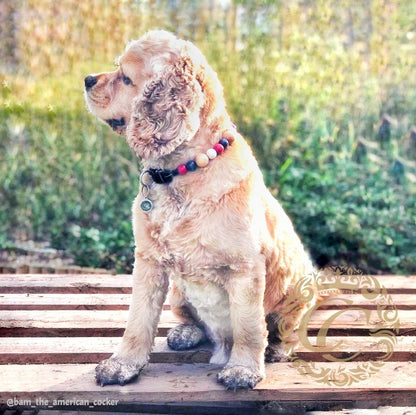 Dog collar "Cocker Love" | Dog Collars | Cat Collars | CollarCrafts | dogcollar | collar | hondenband | Kattenhalsband | bead dog collars | cat mood collar | beaded dog collar | beaded dog collars | wooden bead dog collars | alu max com dog collars | beaded collars for dogs | rainbow dog collars