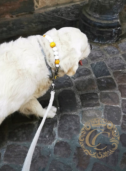 Dog collar Daisy Max | yellow white dog collar | daisy dog collar | hondenhalsband | large dog collar | bead dog collars | luxury dog collar | beaded dog collar | martingale dog collars | wooden bead dog collars | design dog collars | buckle collars | summer dog collars