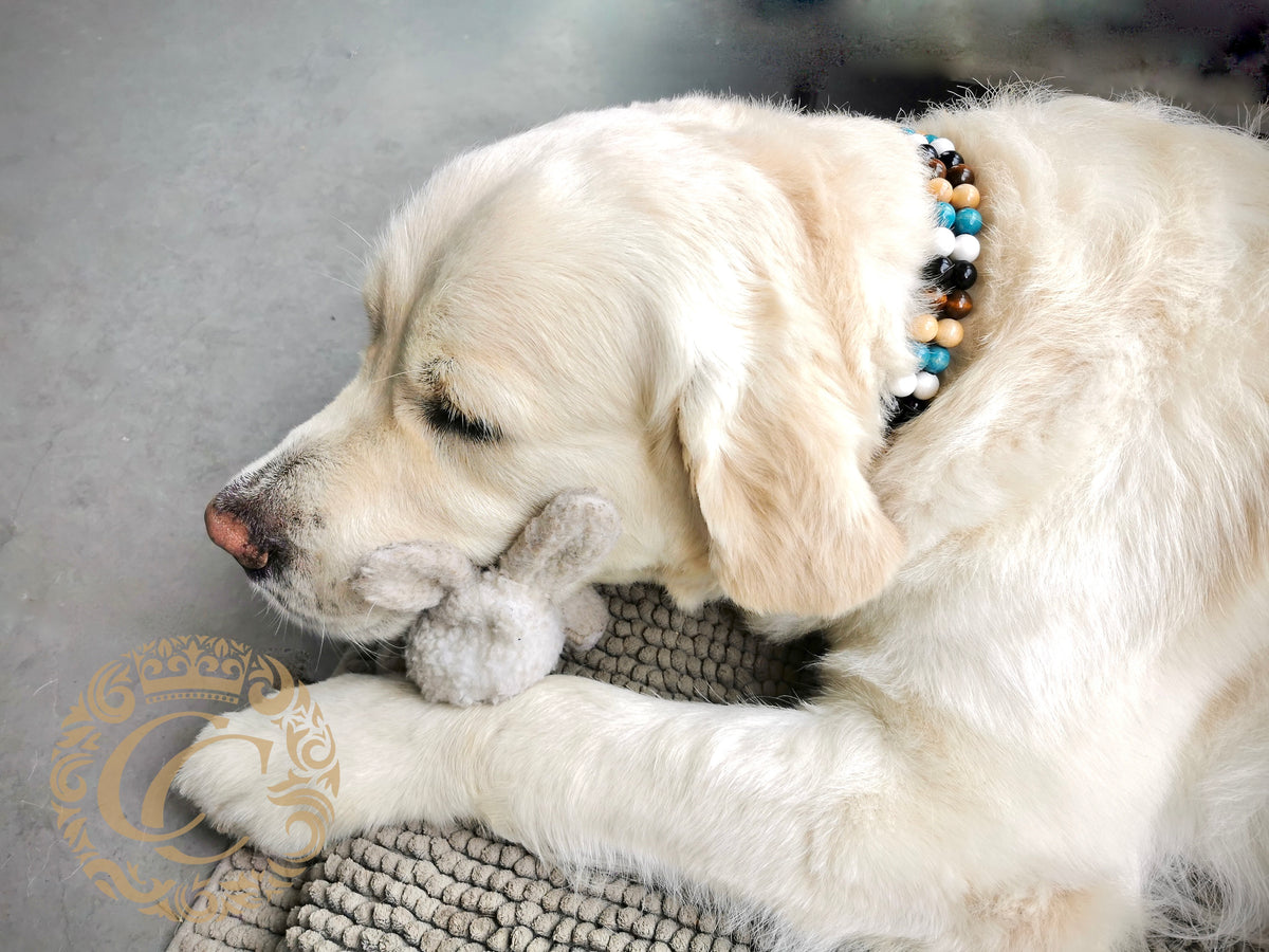 Dog collar Double Beach Stone Mini | hondenhalsband | collarcrafts | halsband | dog collar | dogcollar | collar | dogcollar | collar | hondenhalsband | honden halsband | chic dog collar | bead dog collars | luxury dog collar | custom made dog collar | martingale dog collars | buckle bead dog collars | alu max com dog collars | beaded collars for dogs | Brown blue dog collars | collarcrafts