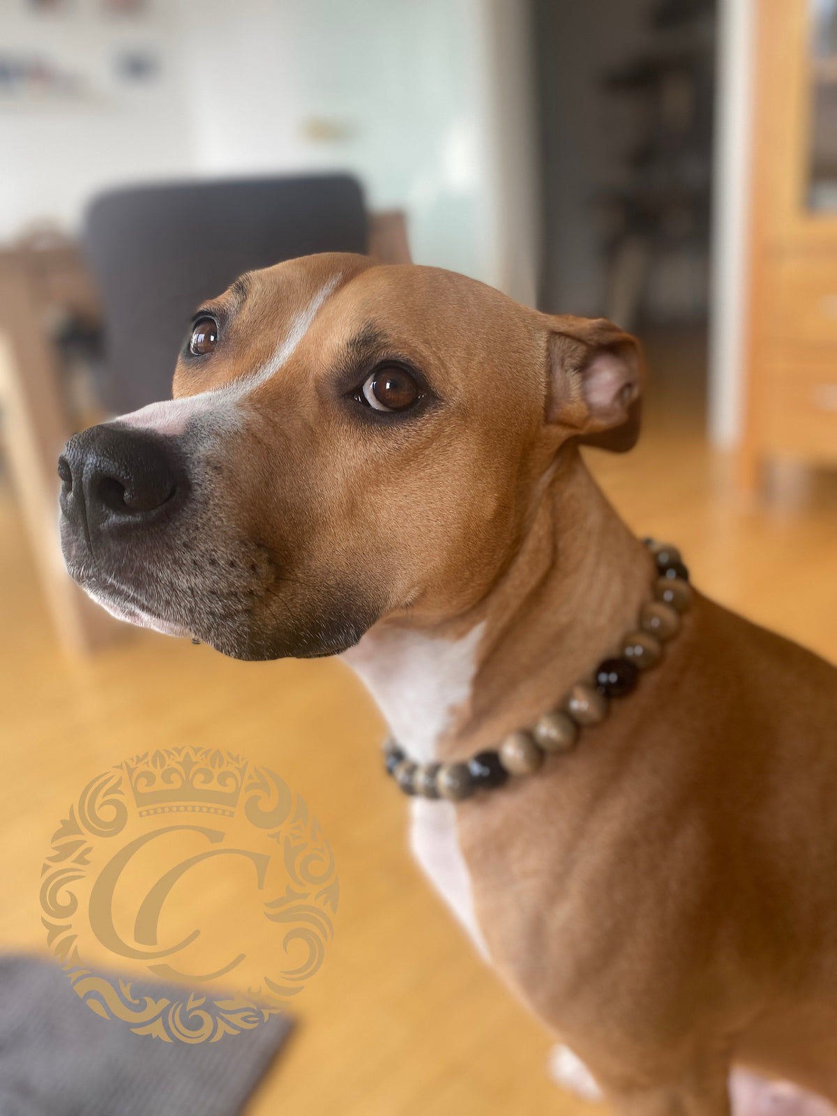 Dog collar Natural Gray | Luxury dog collar | hondenhalsband | handmade dog collar | bead dog collars | Buckle dog collar | beaded dog collar | Martingale dog collars | wooden bead dog collars | alu max com dog collars | beaded collars for dogs | brown beads dog collars | dogcollar | collar | hondenhalsband | ubreakable dog necklace | chic dog collars | durable dog necklace | collarcrafts