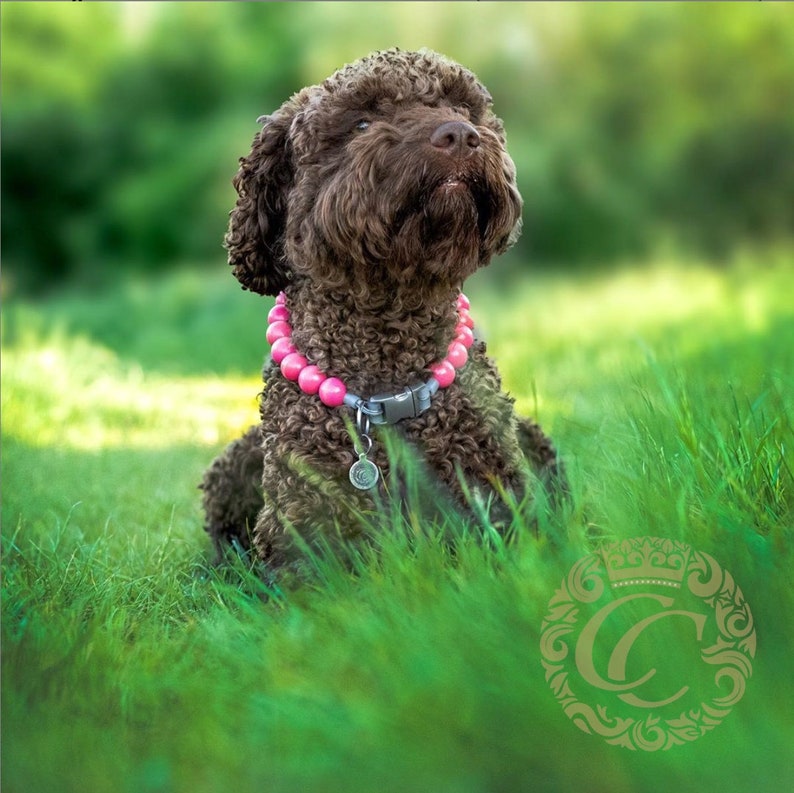 Handmade dog collar Pink Lady | Dog Collars | Cat Collars | CollarCrafts | dogcollar | collar | hondenhalsband | hondenband | Kattenhalsband | bead dog collars | cat mood collar | beaded dog collar | beaded dog collars | wooden bead dog collars | alu max com dog collars | beaded collars for dogs | rainbow dog collars | collarcrafts