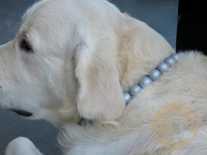 Dog collar Silver Classic Maxi | handmade dog collar | collarcrafts | dogcollar | halsband | dogcollar | collar | hondenhalsband | hondenband | Kattenhalsband | bead dog collars | cat mood collar | beaded dog collar | beaded dog collars | wooden bead dog collars | alu max com dog collars | beaded collars for dogs | rainbow dog collars | collarcrafts