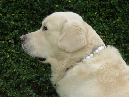 Dog collar Snow Queen Silver | Dog Collars | Custom made dog Collars | CollarCrafts | dogcollar | collar | honden halsband | hondenhalsband | honden halsbanden en leibanden | Luxury dog collars | Dog necklace collar | Buckle dog collar | Martingale dog collars | wooden bead dog collars | alu max com dog collars | beaded collars for dogs | Beaded dog collars | collarcrafts
