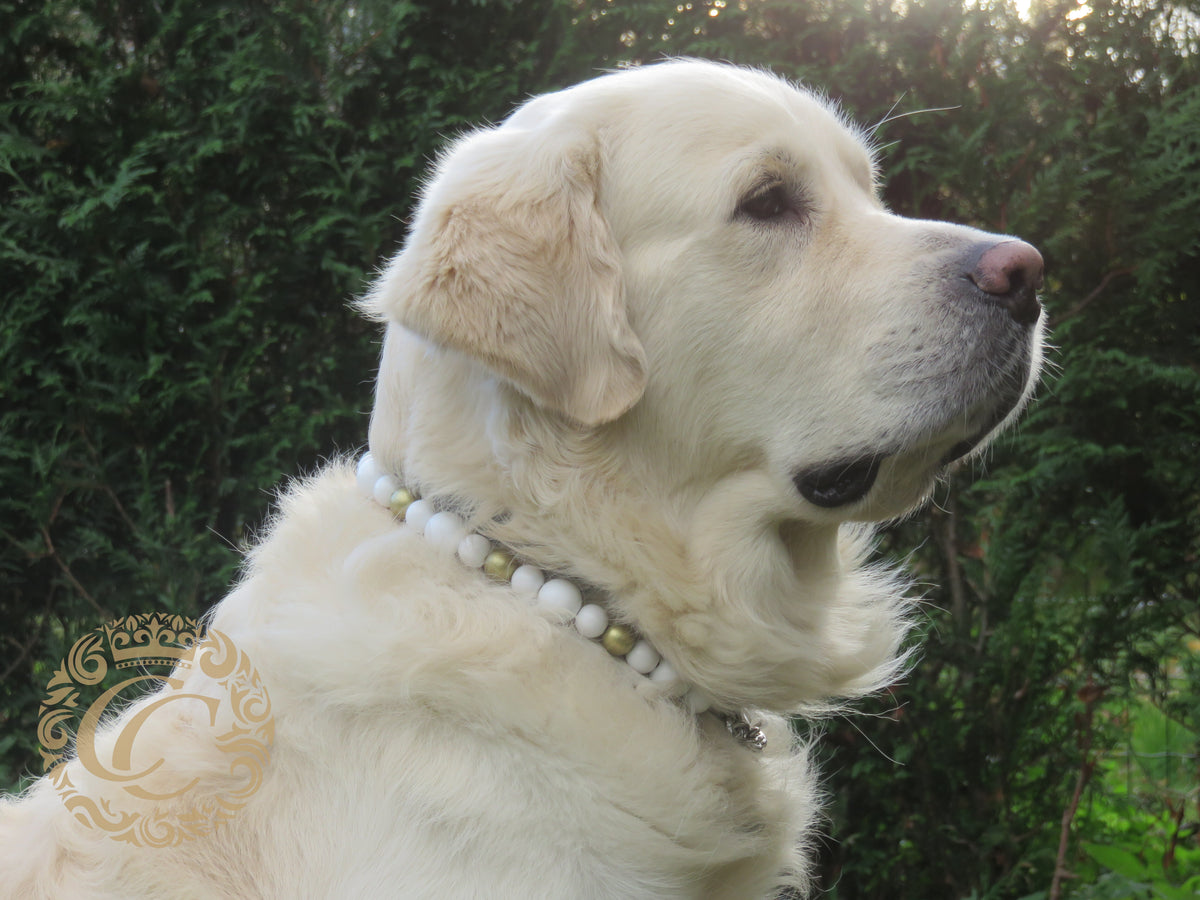 Dog collar Snow Queen | Dog Collars | Cat Collars | CollarCrafts | dogcollar | collar | halsband | hondenhalsband | Honden kralen halsband | bead dog collars | White beads collar | Chic dog collar | beaded dog collars | wooden bead dog collars | alu max com dog collars | beaded collars for dogs | Luxury dog collars | collarcrafts