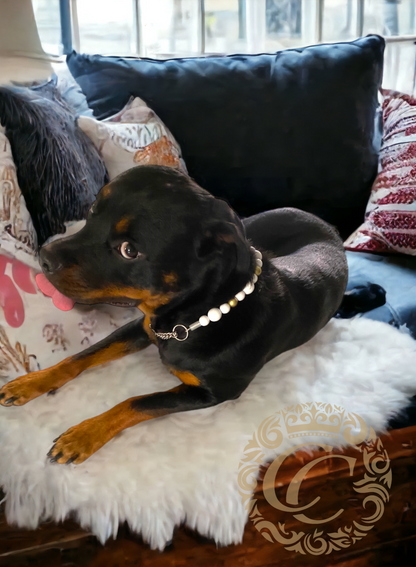 Dog collar Snow Queen | Dog Collars | Cat Collars | CollarCrafts | dogcollar | collar | halsband | hondenhalsband | Honden kralen halsband | bead dog collars | White beads collar | Chic dog collar | beaded dog collars | wooden bead dog collars | alu max com dog collars | beaded collars for dogs | Luxury dog collars | collarcrafts