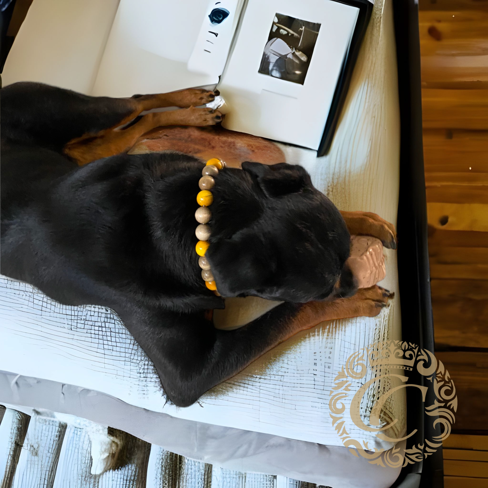 Dog collar Stone Flower