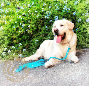 Handmade dog leash Blue | Dog Leashes | Dog Collars | Dog Leashes | CollarCrafts | dogleash | leiband | leiband paracord | hondenleiband | dog collars + leashes sets | waterproof dog leash| blue dog leash | paracord leash custom made | paracord dog leashes | paracord leash | beaded collars for dogs | Blue dog leash | collarcrafts