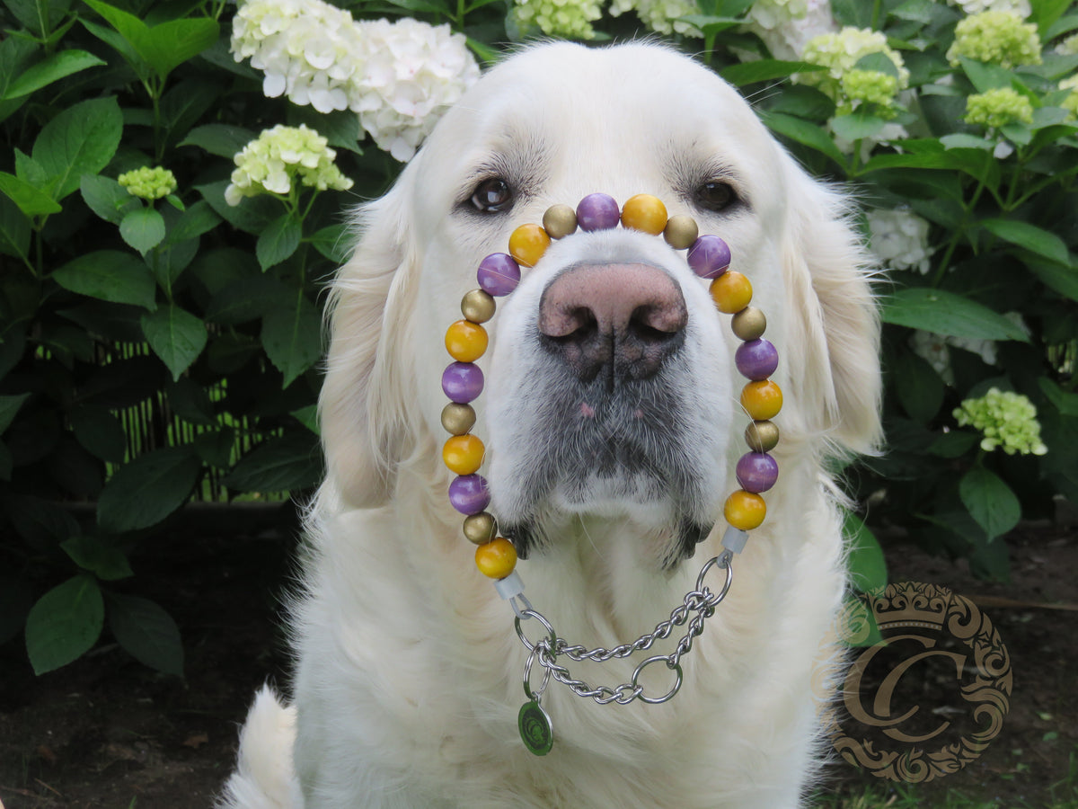 Handmade dog collar Purple Gold Mini | Dog Collars | handmade Collars | CollarCrafts | dogcollar | collar | honden halsband | hondenband | halsband leiband set | bead dog collars | durable wooden pearls collar | luxury dog collar | beaded dog collars | wooden bead dog collars | alu max com dog collars | beaded collars for dogs | purple yellow gold dog collars | collarcrafts