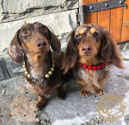 Dog collar Red Mini | Dog Collars | Cat Collars | CollarCrafts | dogcollar | collar | hondenhalsband | hondenhalsband | Kattenhalsband | bead dog collars | cat mood collar | beaded dog collar | beaded dog collars | wooden bead dog collars | alumax dog collars | beaded collars for dogs | red dog collars | collarcrafts