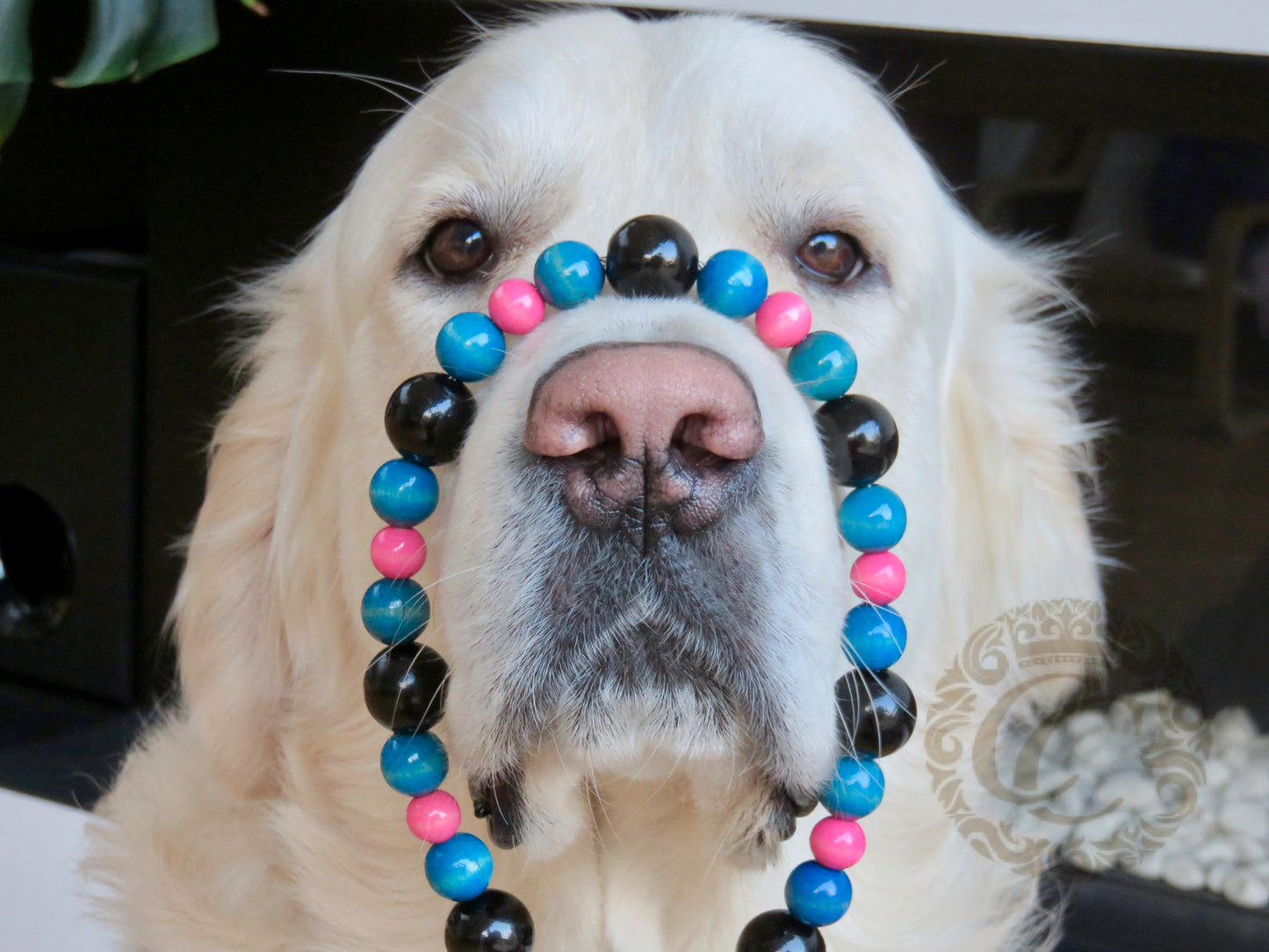 Dog collar Black Blue Pink | Dog Collars | Beads dog Collars | CollarCrafts | dogcollar | collar | hondenhalsband | handmade dog collars | buckle dog collars | Unbreakable dog necklace collar | beaded dog collar | Design dog collars | wooden bead dog collars | alu max com dog collars | unique collars for dogs | Luxury dog collars