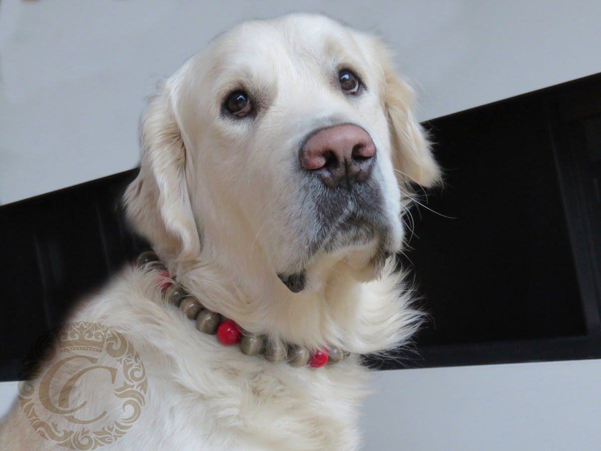 Dog collar Natural Gray Red | CollarCrafts | Custom made dog collar | collar | hondenhalsband | honden halsband | dog collar leash set | bead dog collars | luxury dog collars | beaded dog collar | martingale dog collars | wooden bead dog collars | alu max com dog collars | beaded collars for dogs | natural dog collars | collarcrafts