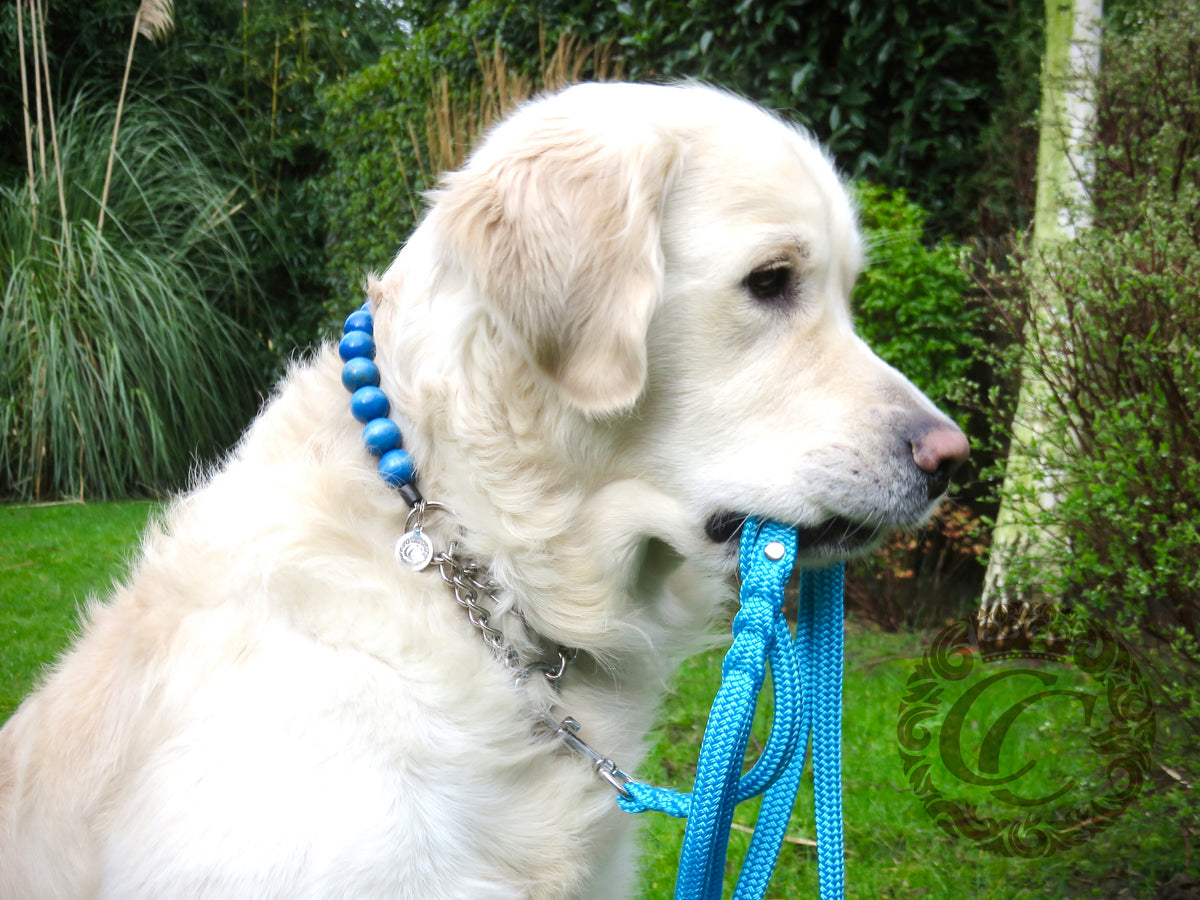 Dog collar Blue Sky Maxi | Dog Collars and leashes | Dog necklace Collars | CollarCrafts | dogcollar | collar | hondenhalsband | halsbanden en leibanden | bead dog collars | Martingale dog collar | Buckle dog collar | beaded dog collars | wooden bead dog collars | alu max com dog collars | designer collars for dogs | blue dog necklace