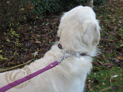 Handmade dog collar Aubergine Maxi | Dog Collars | jewelry dog Collars | CollarCrafts | dogcollar | collar | hondenhalsband | halsbanden en leibanden | halsbandset | unbreakable necklace for dog | chic dog collar | luxury dog collar | martingale dog collars | wooden beads dog collars | alu max com dog collars | beaded collars for dogs | purple dog collars
