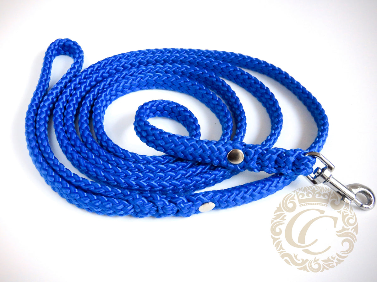 Dog leash for small & medium dogs Royal Blue | Dog Collars | Cat Collars | CollarCrafts | Dog collar "Trendy Turquoise" | design dog collar | beaded collars for dogsDog collar "Trendy Turquoise" | design dog collar | beaded collars for dogsvv | dogcollar | collar | hondenhalsband | hondenband | Kattenhalsband | bead dog collars | cat mood collar | beaded dog collar | beaded dog collars | wooden bead dog collars | alu max com dog collars | beaded collars for dogs | rainbow dog collars | collarcrafts
