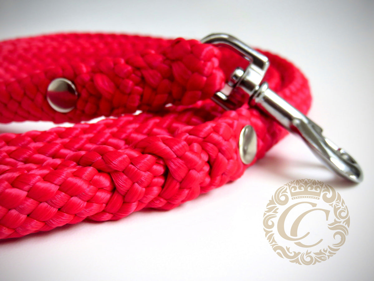 handmade dog collars and leashes / paracord leash | Dog collar "Trendy Turquoise" | design dog collar | beaded collars for dogs | Dog collar "Trendy Turquoise" | design dog collar | beaded collars for dogs | Dog Collars | Cat Collars | CollarCrafts | dogcollar | collar | hondenhalsband | hondenband | Kattenhalsband | bead dog collars | cat mood collar | beaded dog collar | beaded dog collars | wooden bead dog collars | alu max com dog collars | beaded collars for dogs | rainbow dog collars | collarcrafts