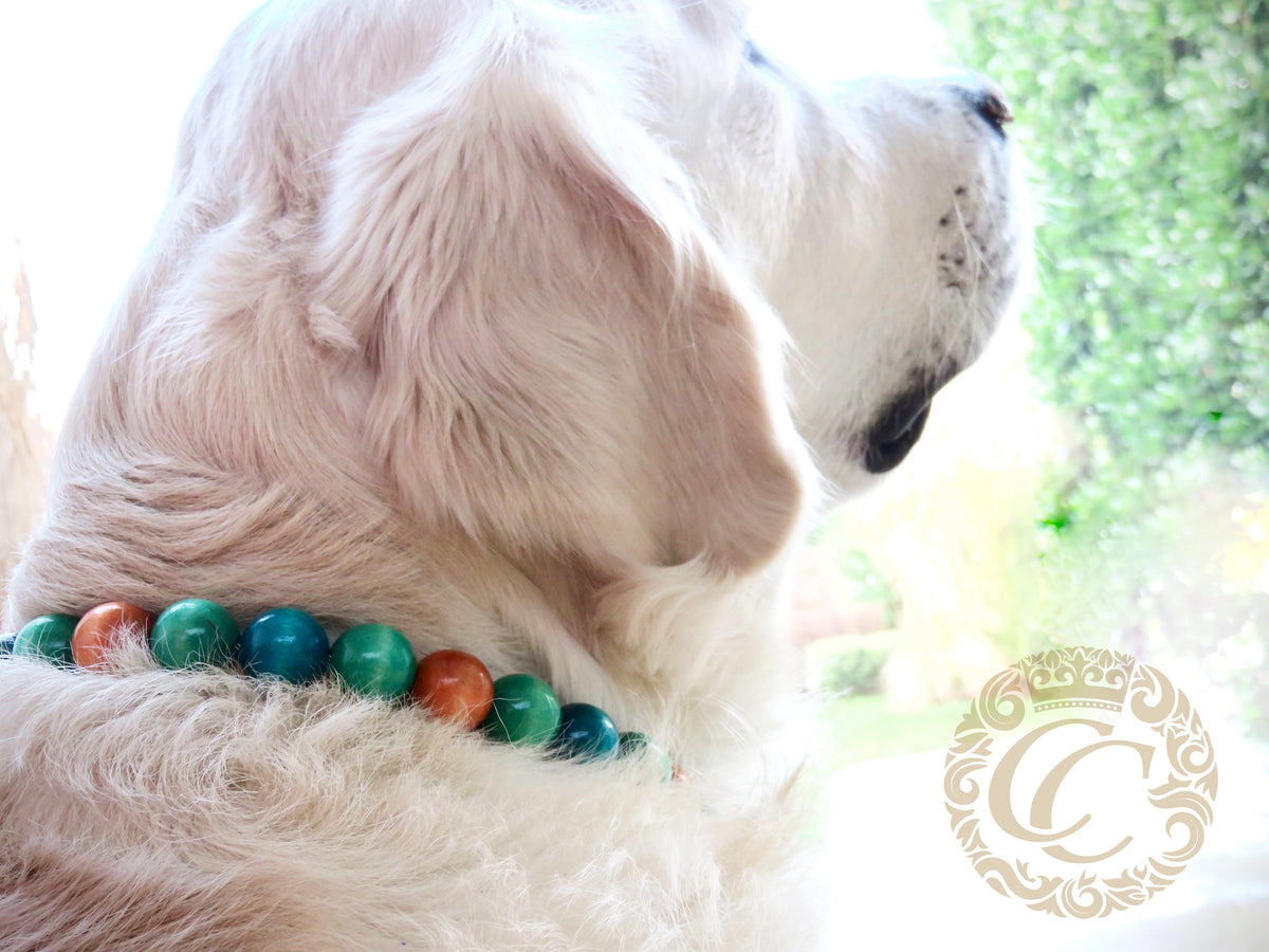 Dog collar Cote d'Azur | Dog Collars | Buckle Collars | CollarCrafts | dogcollar | collar | bead dog collars | luxury dog collar | martingale dog collars | wooden bead dog collars | alu max com dog collars | beaded collars for dogs | rainbow dog collars| Turquoise dog collars