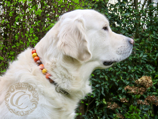 Dog collar Brown Orange Yellow | handmade dog collars | honden halsband | collarcrafts | collars & leashes | dogcollar | collar | hondenband | Kattenhalsband | bead dog collars | cat mood collar | beaded dog collar | beaded dog collars | wooden bead dog collars | alu max com dog collars | beaded collars for dogs | rainbow dog collars