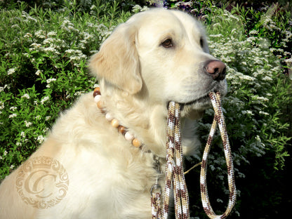Leashes CollarCrafts | dogcollar | collar | hondenhalsband | hondenband | Kattenhalsband | bead dog collars | cat mood collar | beaded dog collar | beaded dog collars | wooden bead dog collars | alu max com dog collars | beaded collars for dogs | rainbow dog collars | collarcrafts