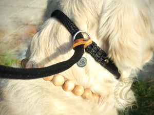 Dog slip leash CollarCrafts | leiband | leash | hondenhalsband | honden leiband | custom leashes | durable dog leash | dog leads | parcord dog leashes | retriever leash | slipleash | alu max com dog collars | leashes and collars for dogs | paracord slip leash | handmade dog leads | collarcrafts