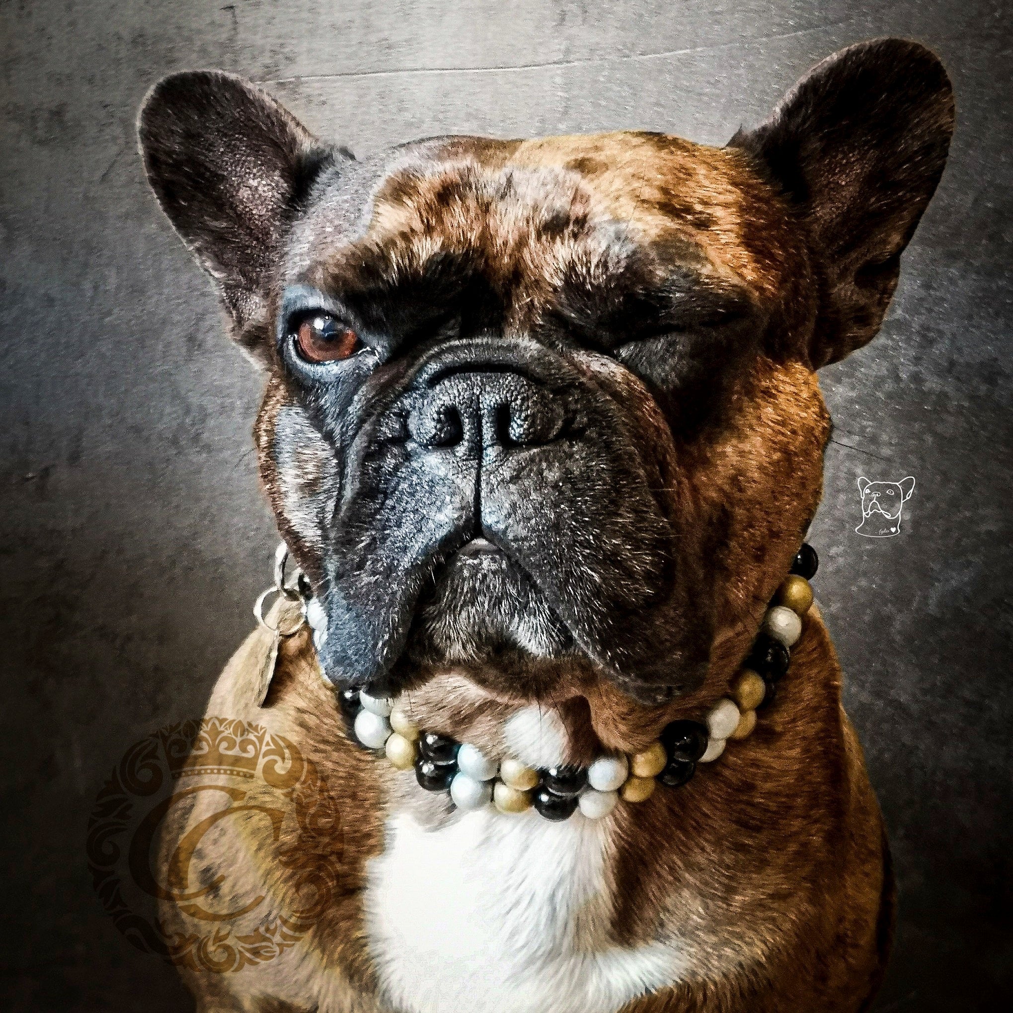 Dog collar Double Black Gold Silver | Handmade dog collars | Luxury dog collars | Custom made collars and leashes | Chic dog collars | Christmas dog collars | Beaded dog collars | Dog collars beads | Collars for dogs | Unbreakable dog necklace
