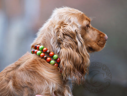 dog collar collarcrafts | dogcollar | collar | hondenband | Kattenhalsband | bead dog collars | cat mood collar | beaded dog collar | beaded dog collars | wooden bead dog collars | alu max com dog collars | beaded collars for dogs | rainbow dog collars | hondenhalsband