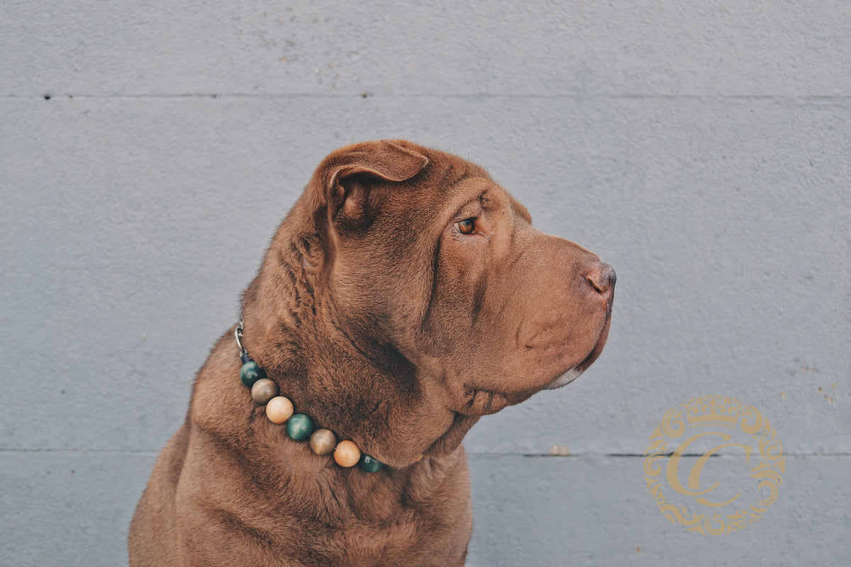 handmade dog collars collarcrafts luxury dog collars | dogcollar | collar | bead dog collars | mood collar | beaded dog collar | beaded dog collars | wooden bead dog collars | alu max com dog collars | beaded collars for dogs | rainbow dog collars | collarcrafts