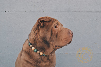 handmade dog collars collarcrafts luxury dog collars | dogcollar | collar | bead dog collars | mood collar | beaded dog collar | beaded dog collars | wooden bead dog collars | alu max com dog collars | beaded collars for dogs | rainbow dog collars | collarcrafts