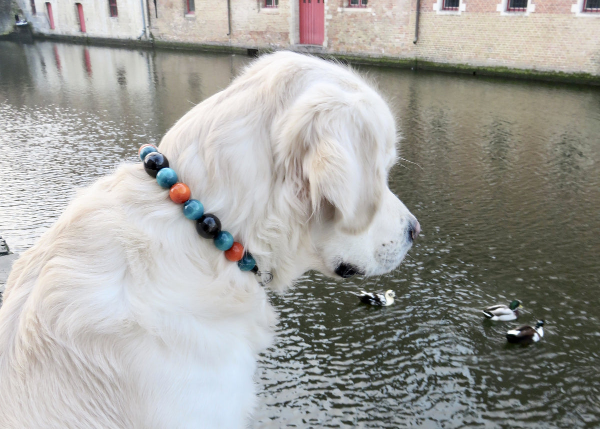 dog collar collarcrafts handmade dog collars | dogcollar | collar | hondenband | Kattenhalsband | bead dog collars | cat mood collar | beaded dog collar | beaded dog collars | wooden bead dog collars | alu max com dog collars | beaded collars for dogs | rainbow dog collars