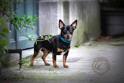 handmade dog collar - hondenhalsband - collarcrafts | dogcollar | collar | hondenband | Kattenhalsband | bead dog collars | cat mood collar | beaded dog collar | beaded dog collars | wooden bead dog collars | alu max com dog collars | beaded collars for dogs | rainbow dog collars