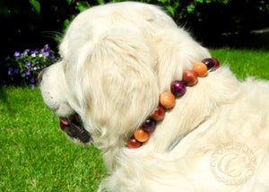 Dog collar "Sweet Aubergine" | Dog Collars | Cat Collars | CollarCrafts | dogcollar | collar | hondenband | Kattenhalsband | bead dog collars | cat mood collar | beaded dog collar | beaded dog collars | wooden bead dog collars | alu max com dog collars | beaded collars for dogs | beige bordeaux dog collars