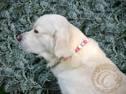 Dog collar Shiny Girl | Girly dog collar | dog collar | hondenlalsband | Pink Silver dog collar | bead dog collars | Luxury dog collars | beaded dog collar | beaded dog collars | wooden bead dog collars | alu max com dog collars | beaded collars for dogs | Pink dog collars | Martingale dog collars | Buckle dog collars | Holidays dog collars | Wedding dog collars | CollarCrafts